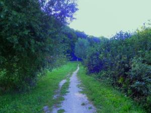 Zdravilni park Sveta Trojica 6